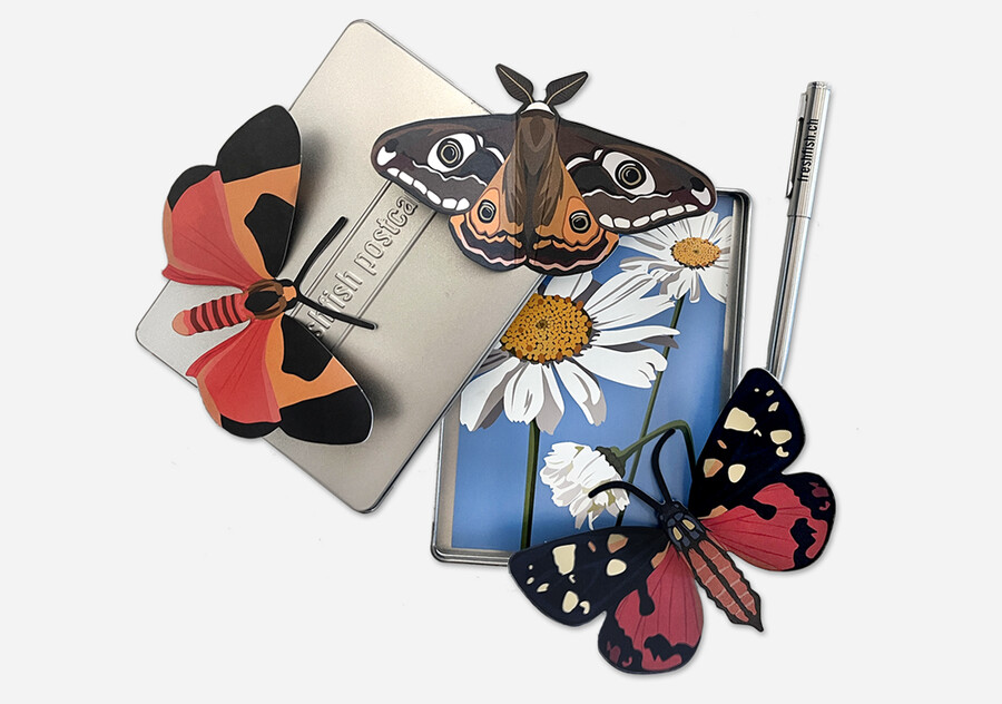 Falterbox freshfish postcards gmbh | Postkarten Bern Schweiz | Sonja Kräuliger